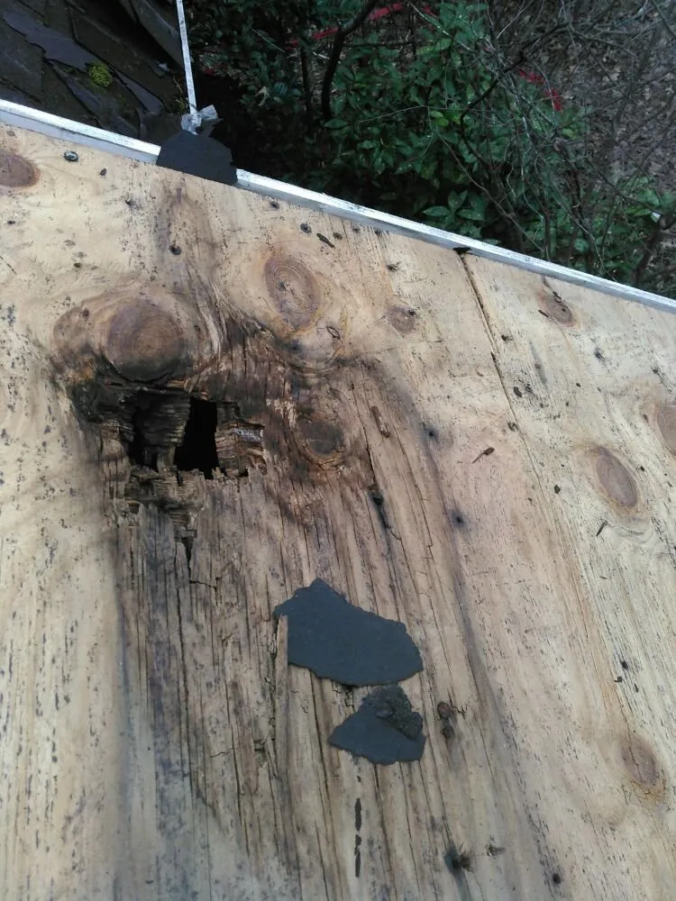 Reliable roof repair for homes in Castalia, NC by DPD Roofing and Siding