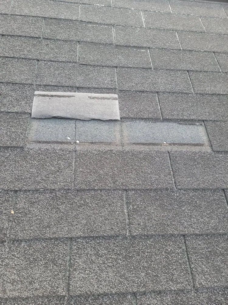 Professional flat roof repair in Castalia, NC - DPD Roofing and Siding