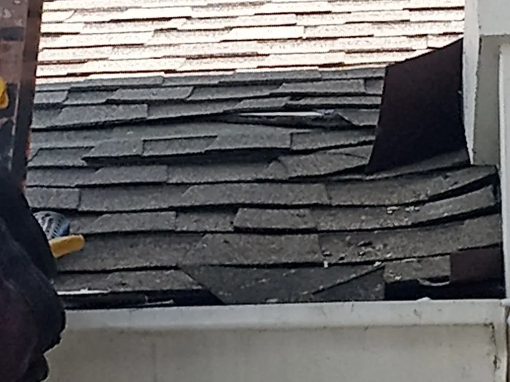 Slide of DPM 1Roofing