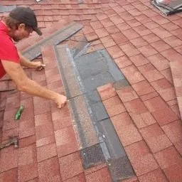 Slide of Dr Roof of Tampa Bay