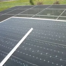 Slide of Dr Roof of Tampa Bay