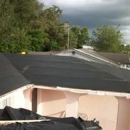 Slide of Dr Roof of Tampa Bay