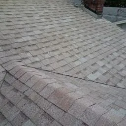 Slide of Dr Roof of Tampa Bay