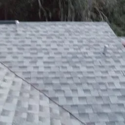 Slide of Dr Roof of Tampa Bay