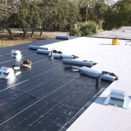 Slide of Dr Roof of Tampa Bay