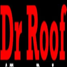Dr Roof of Tampa Bay Logo