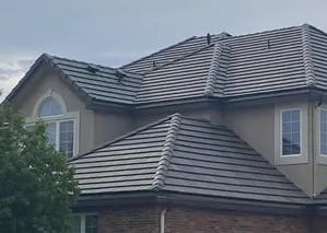 Slide of Dragonfly Roofing Company