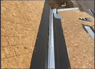 Slide of Dragonfly Roofing Company