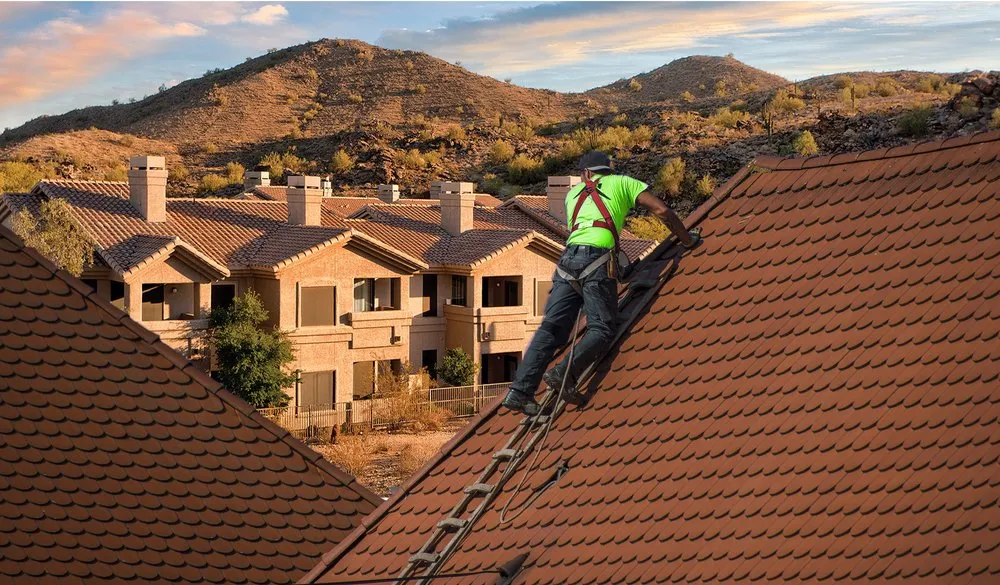 Slide of Dragon's Roofing