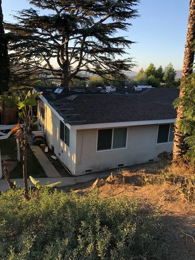 Slide of Dragon's Roofing