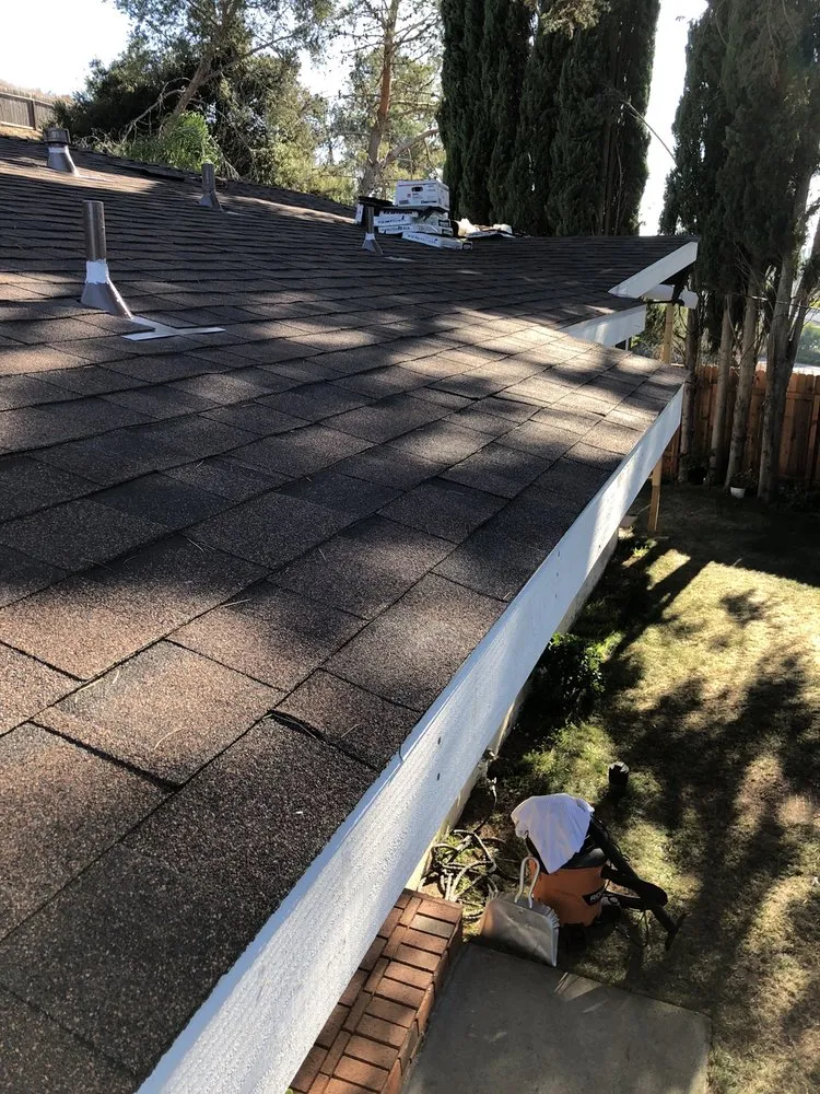 Slide of Dragon's Roofing