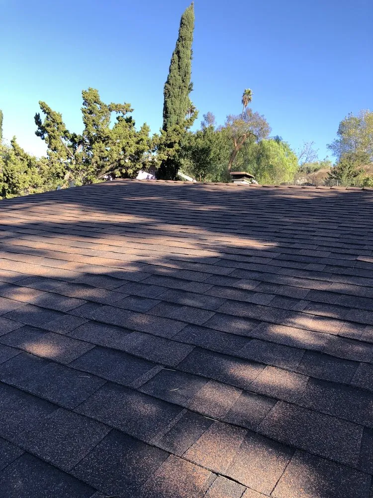 Slide of Dragon's Roofing