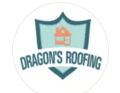 Slide of Dragon's Roofing