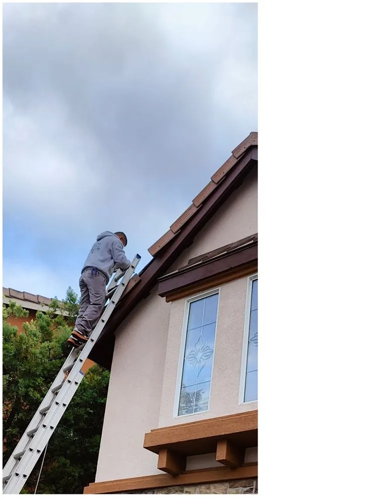 Slide of Dragon's Roofing