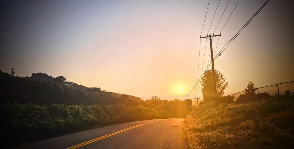 Slide of Dragon's Roofing