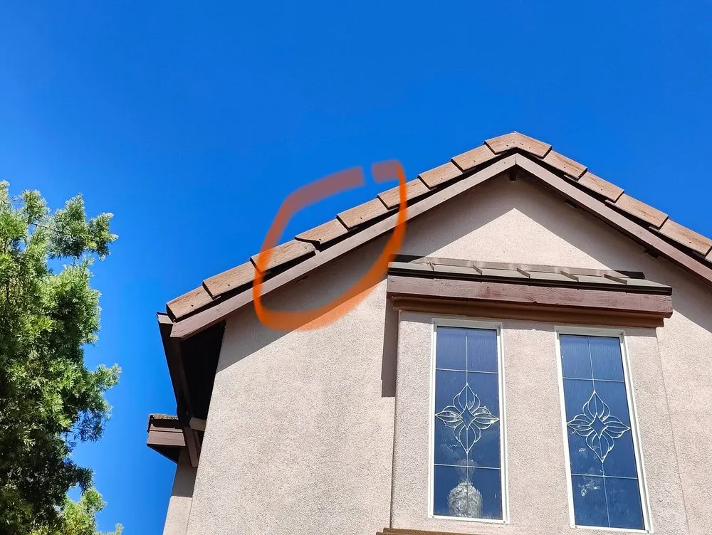 Slide of Dragon's Roofing