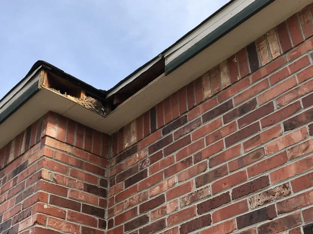 Slide of Dream Home Restoration