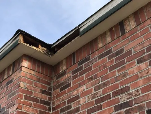 Dream Home Restoration Logo