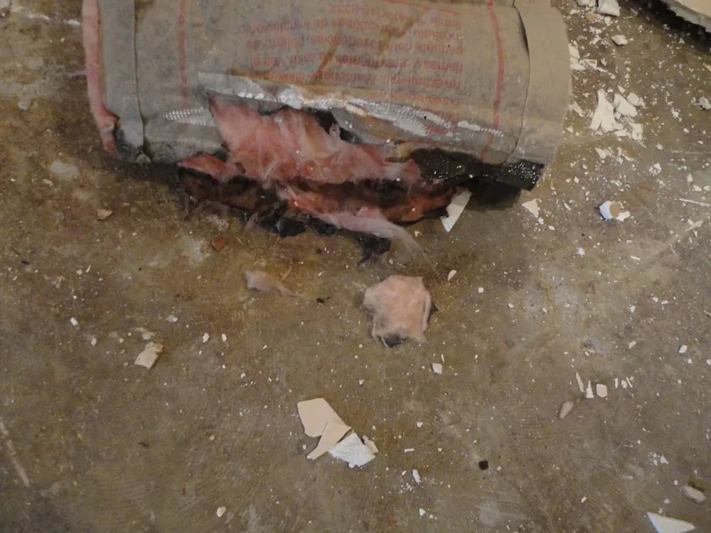 Slide of Dream Work Carpentry