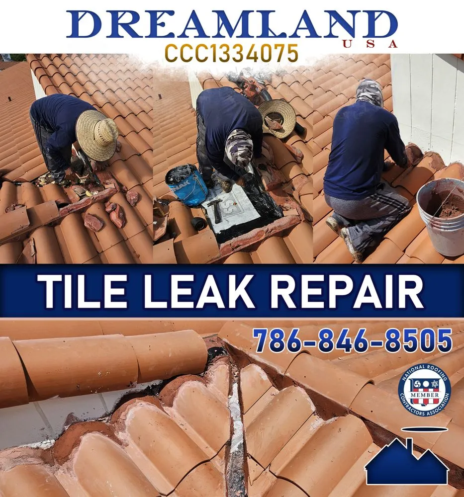 Slide of Dreamland USA