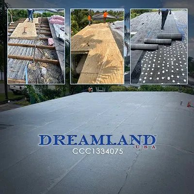 Slide of Dreamland USA