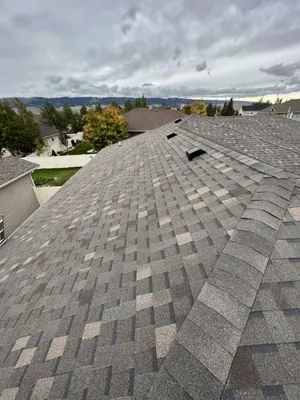 Droptine Roofing Logo