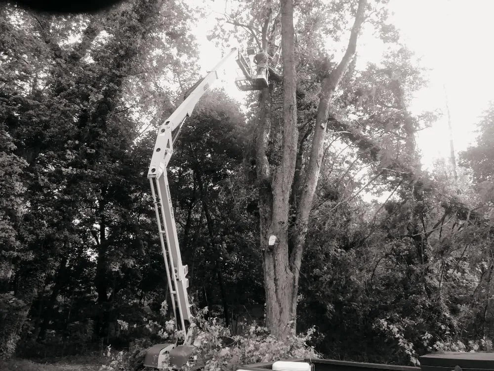 Slide of drurys construction services