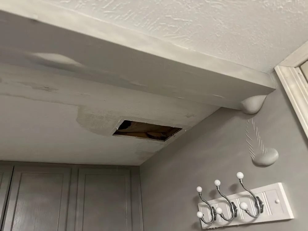 Slide of Dry By Design