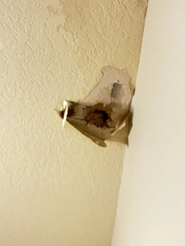 Slide of Dry Roofing Incom