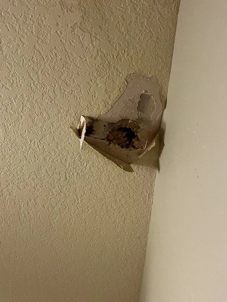 Slide of Dry Roofing Incom