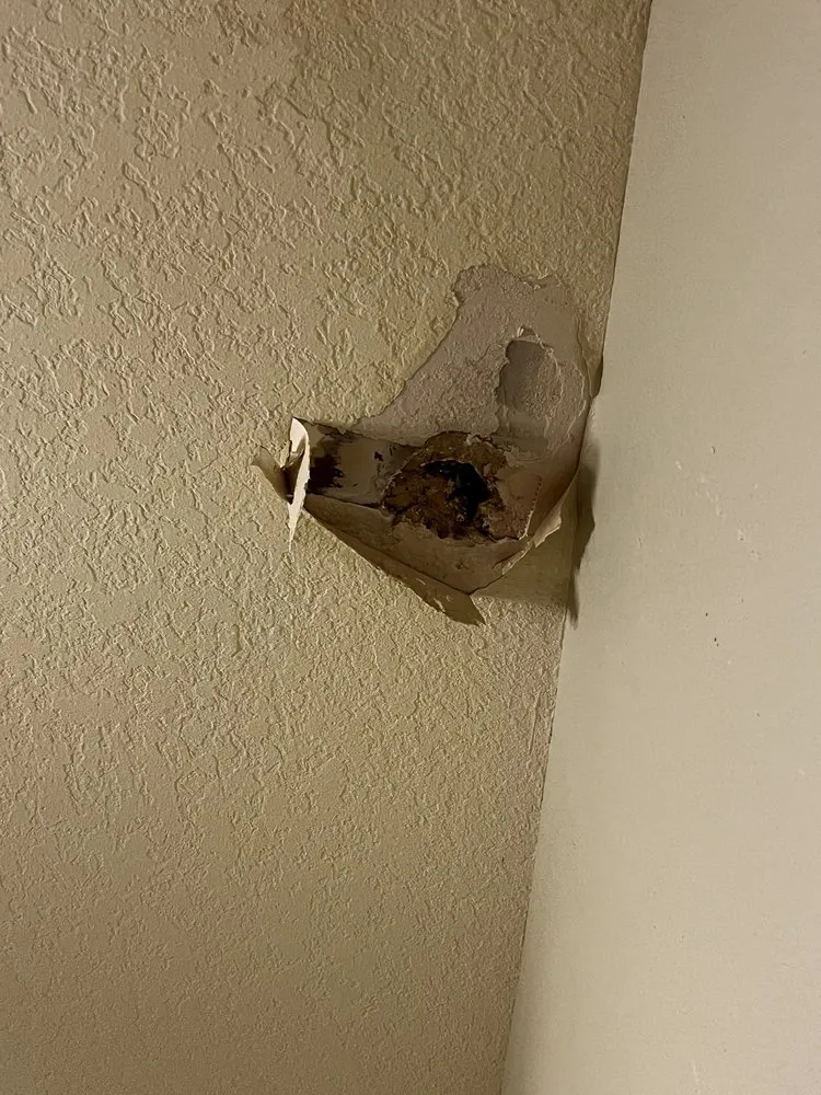 Slide of Dry Roofing Incom