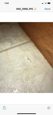 Dryman Restoration Logo