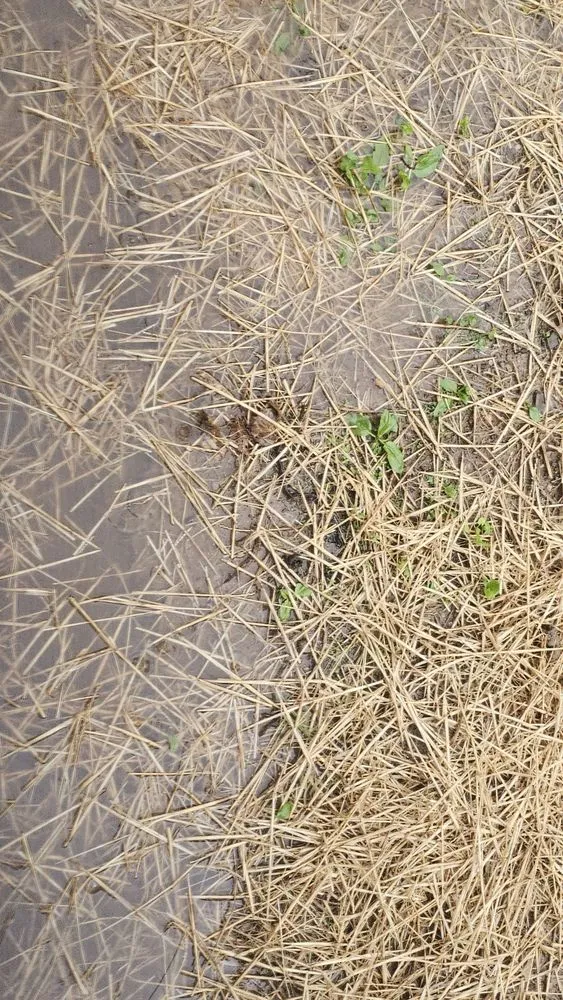 Slide of Dryzone Masonry And Construction