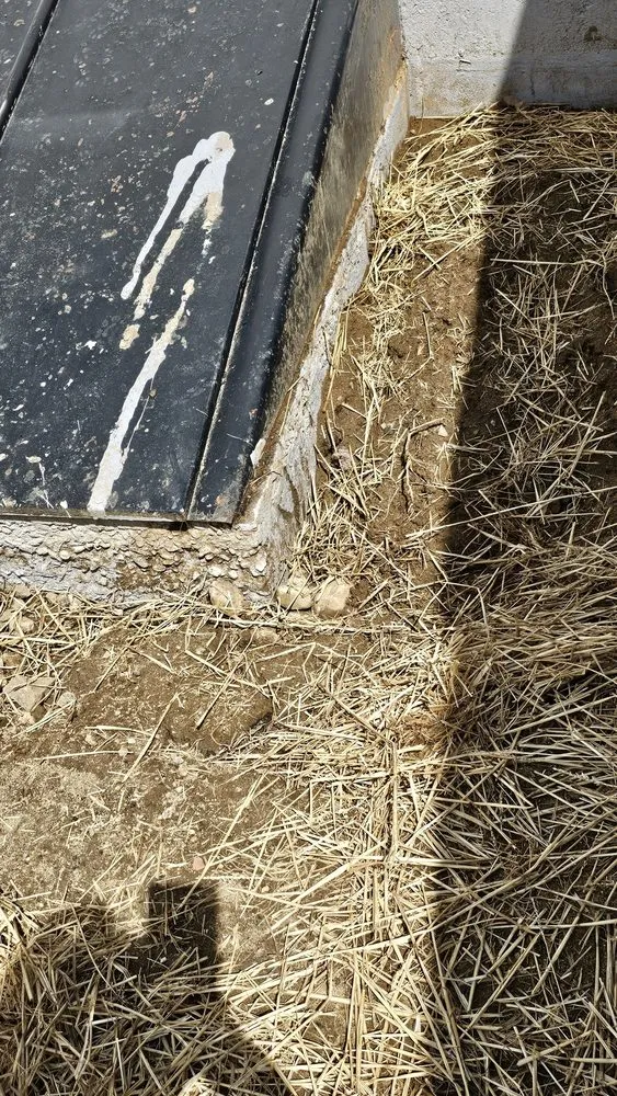 Slide of Dryzone Masonry And Construction