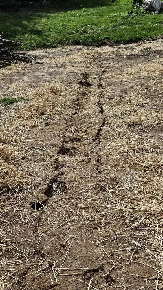 Slide of Dryzone Masonry And Construction
