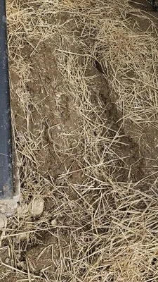 Dryzone Masonry And Construction