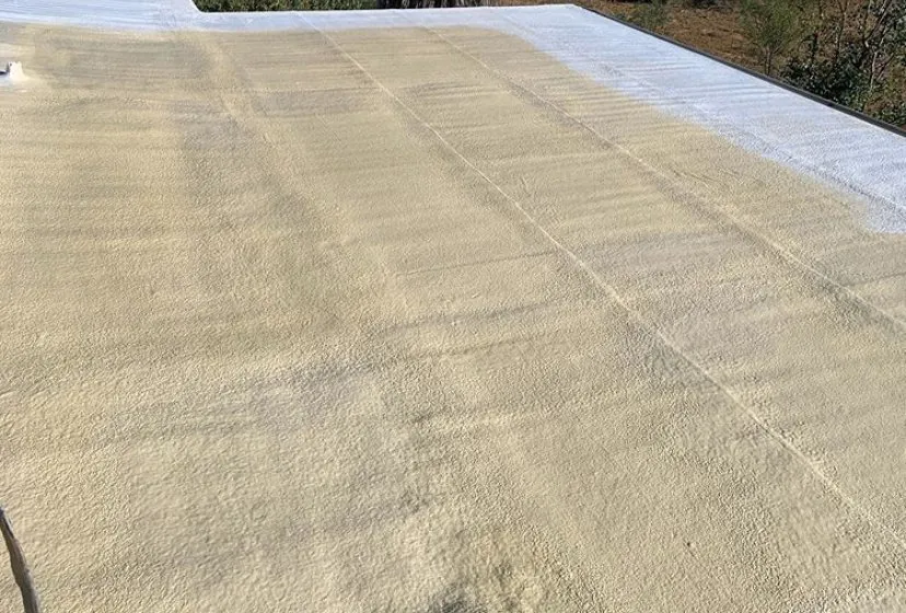 Slide of DS Foam Roofing