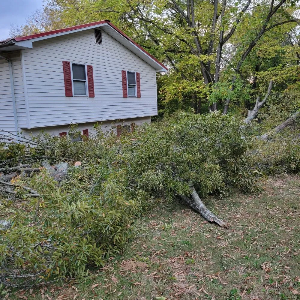 Slide of D's Home Solutions