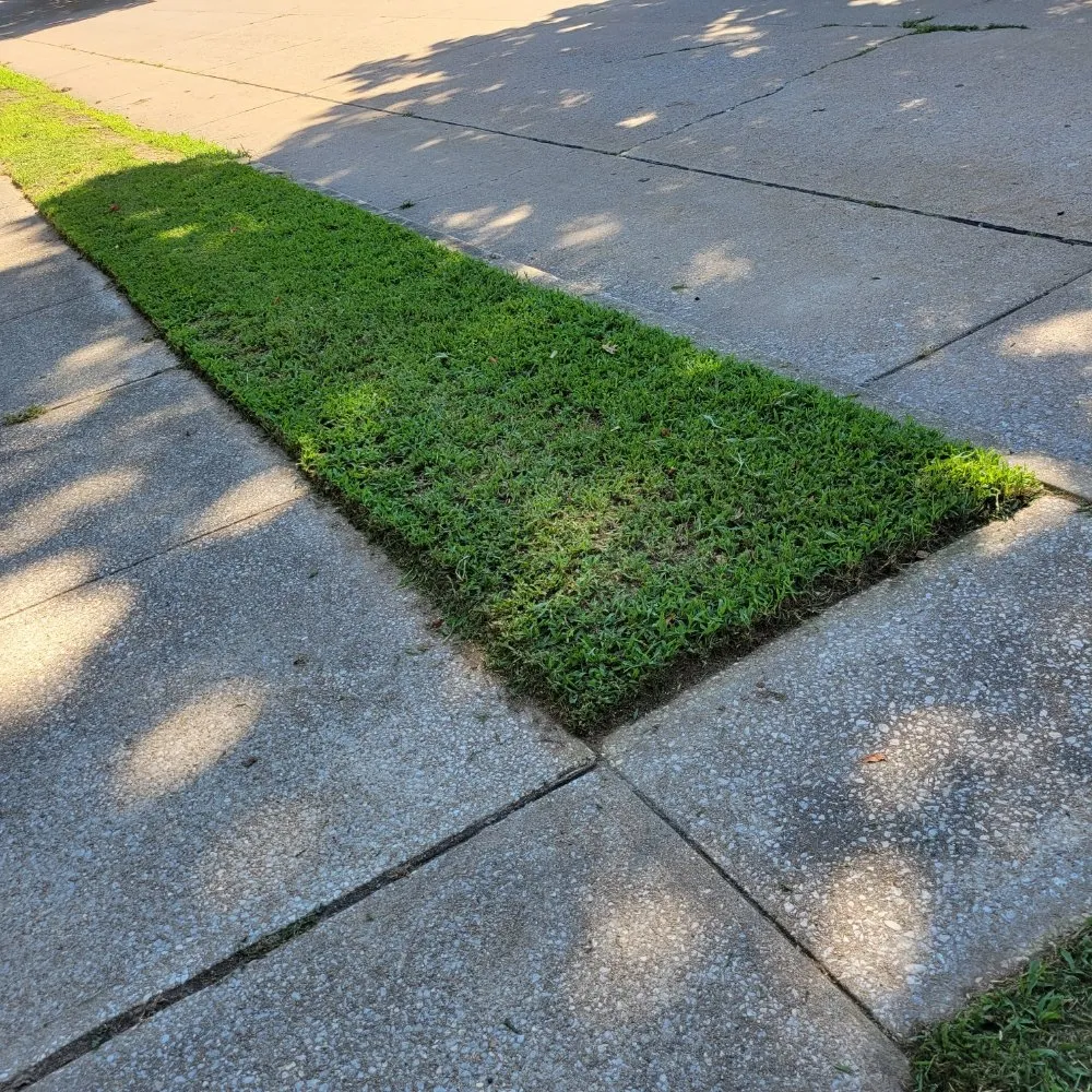 Slide of D's Home Solutions