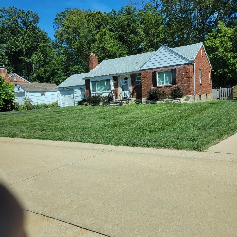 Slide of D's Home Solutions