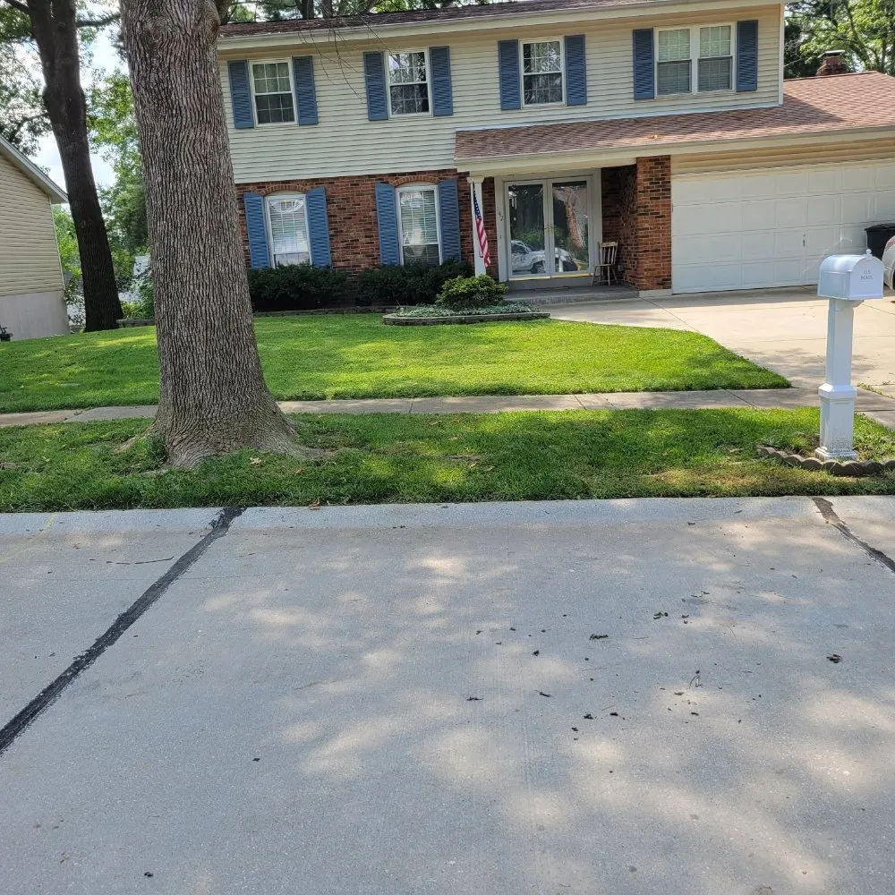 Slide of D's Home Solutions