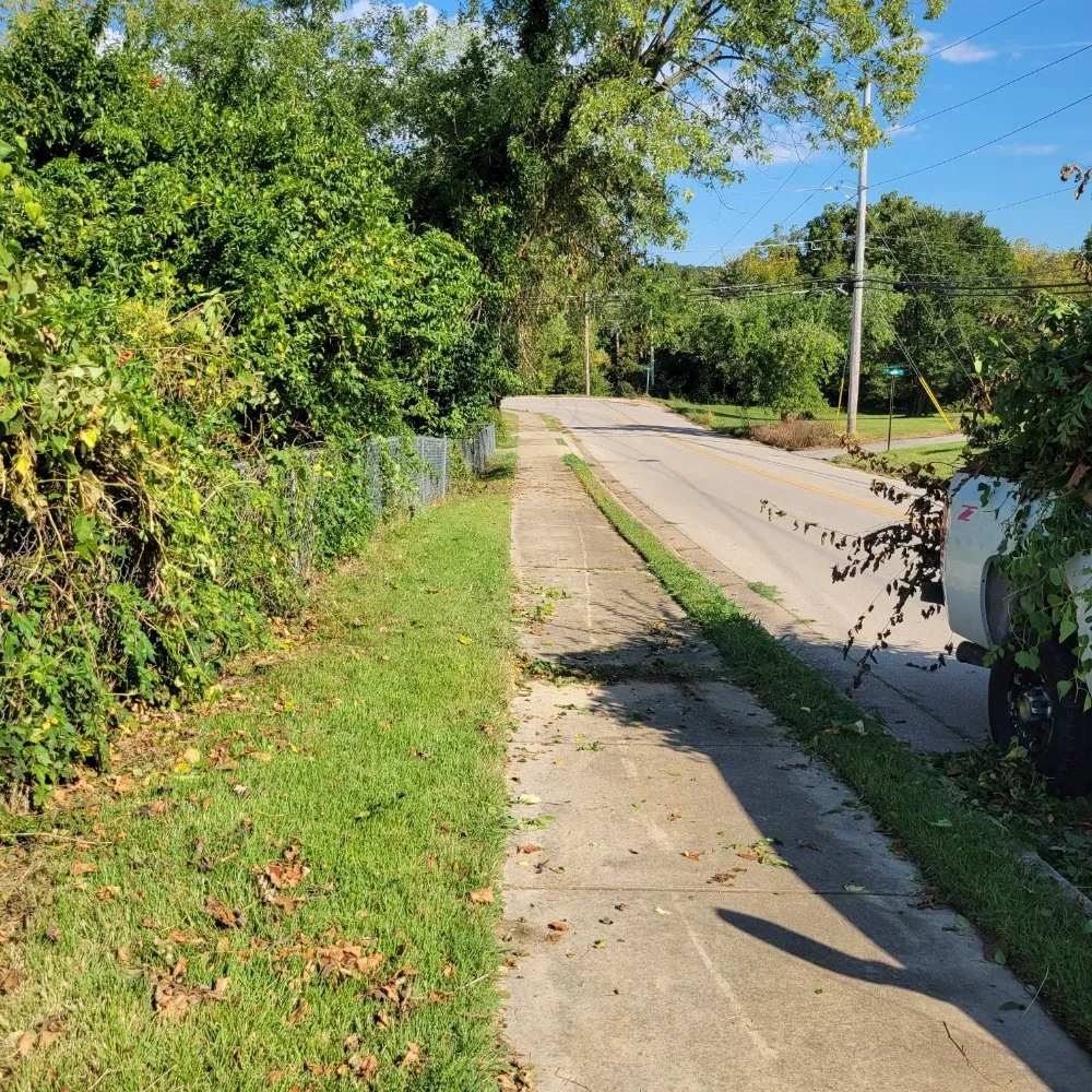 Slide of D's Home Solutions