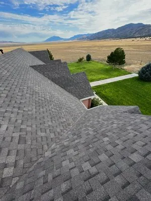 D's Roofing Experts