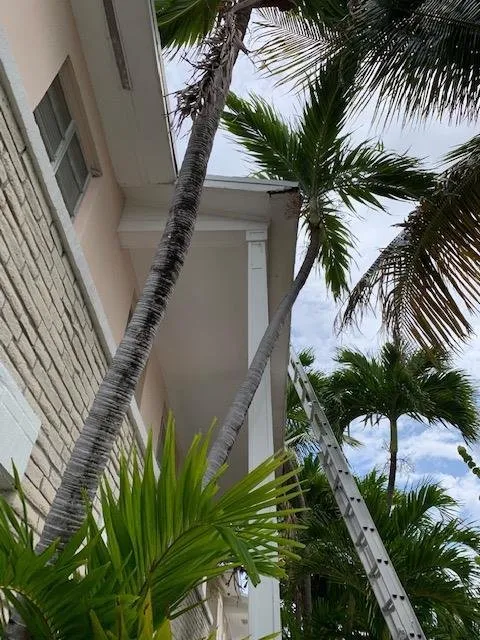 Slide of DSB Construction Contractors