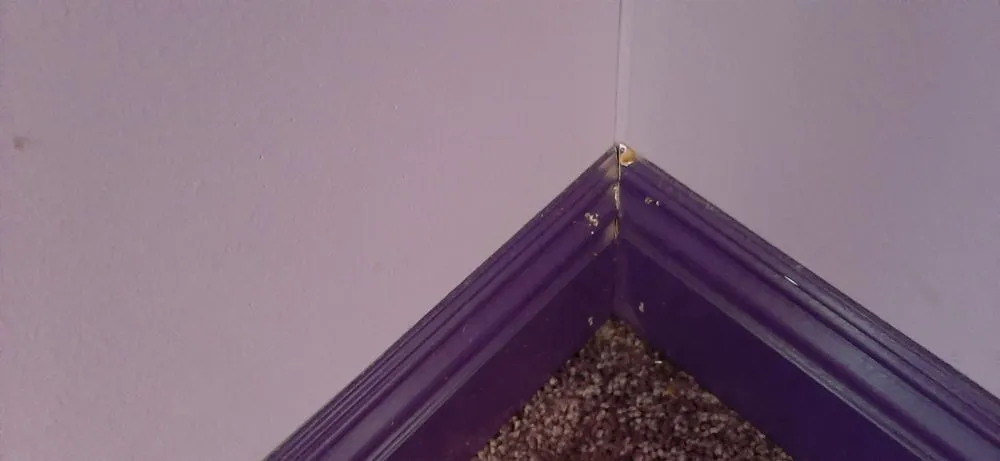 Slide of Ducks Roofing & Construction