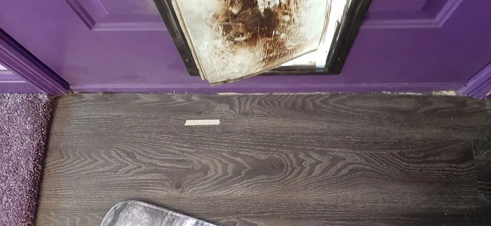 Slide of Ducks Roofing & Construction