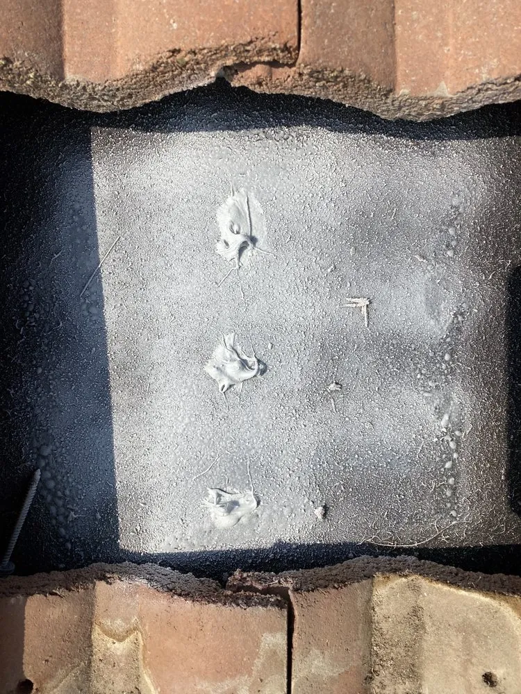 Slide of Duckys Foot Work