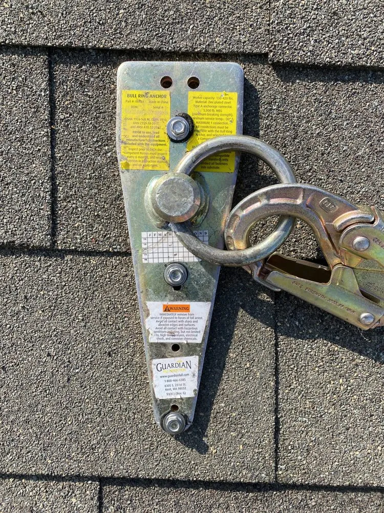 Slide of Duckys Foot Work