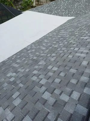 Dunedin Roofing