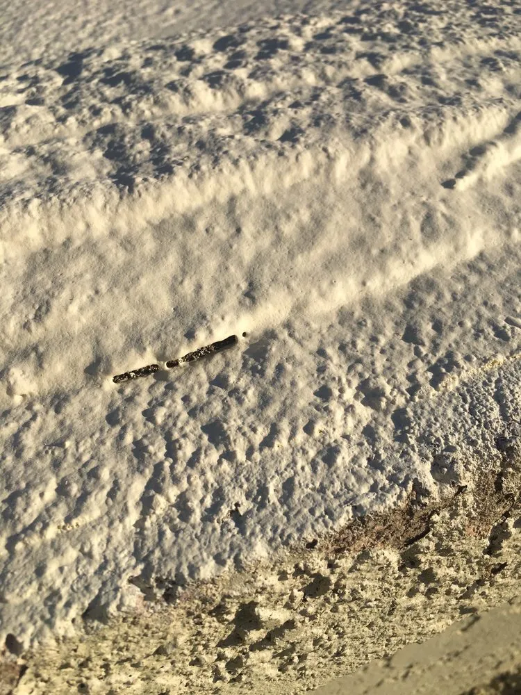 Slide of Durafoam Roofing